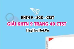 Giải KHTN 9 trang 41 Chân trời sáng tạo SGK